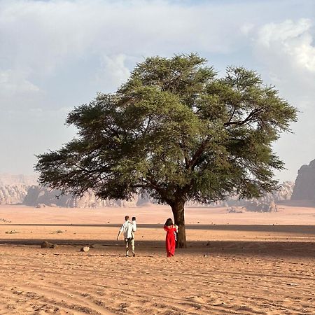 Sunset Dreams Camp Lejlighed Wadi Rum Eksteriør billede