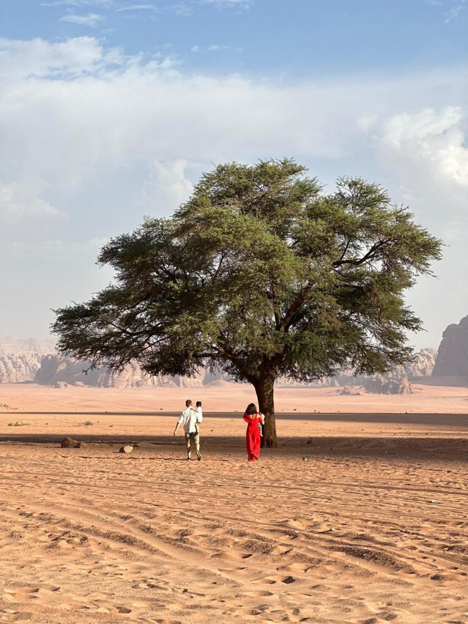 Sunset Dreams Camp Lejlighed Wadi Rum Eksteriør billede